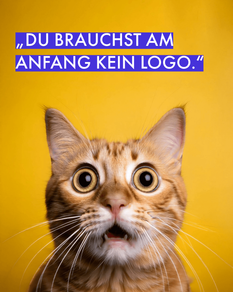 Das Bild zeigt eine schockierte Katze. Sie schaut auf den Satz „Du brauchst am Anfang kein Logo."