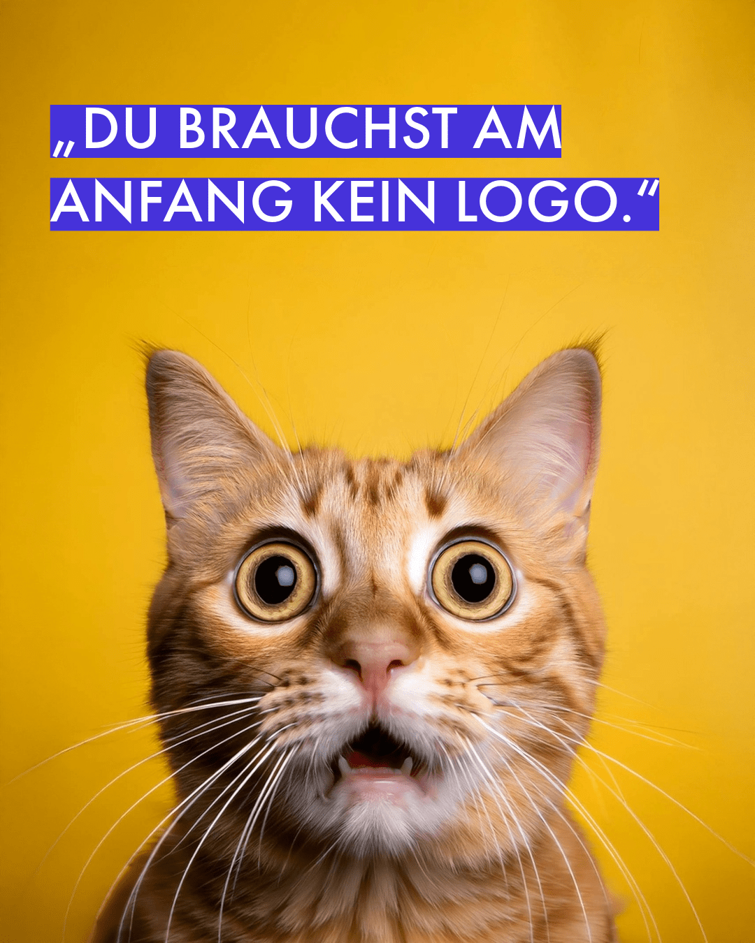 Das Bild zeigt eine schockierte Katze. Sie schaut auf den Satz „Du brauchst am Anfang kein Logo."